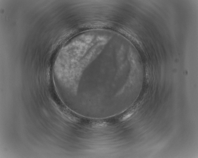 X0000074000206200609111607