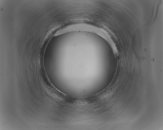 X0000074000207200609111607