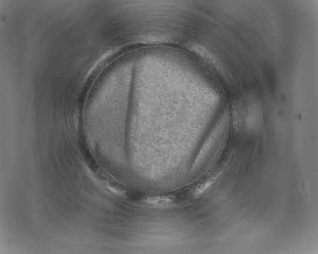 X0000074000208200609111607