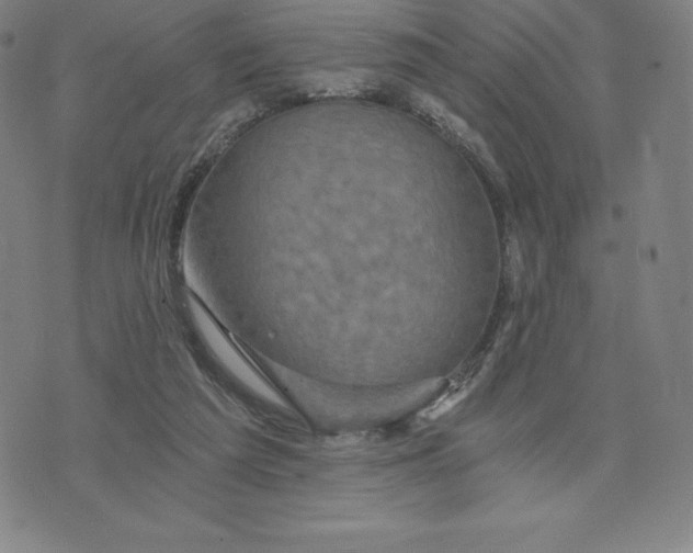 X0000074000209200609111607