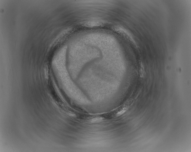 X0000074000210200609111607