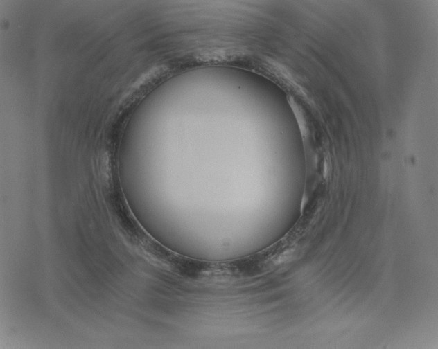 X0000074000211200609111607