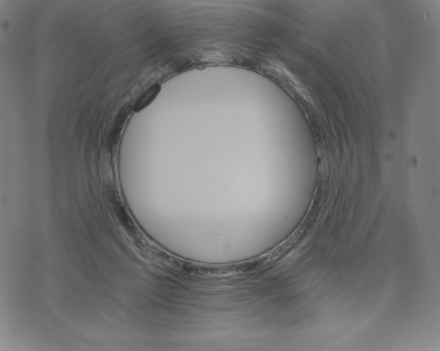 X0000074000213200609111607