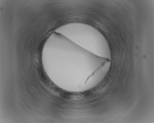 X0000074000215200609111606