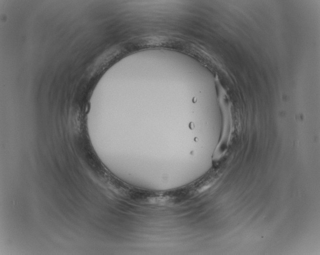 X0000074000216200609111606