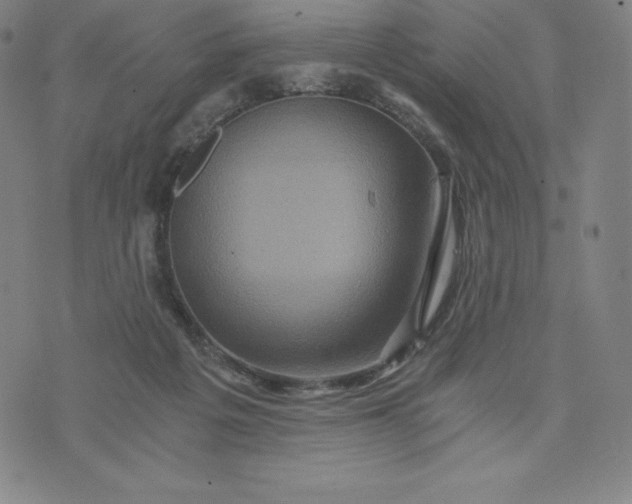 X0000074000217200609111606