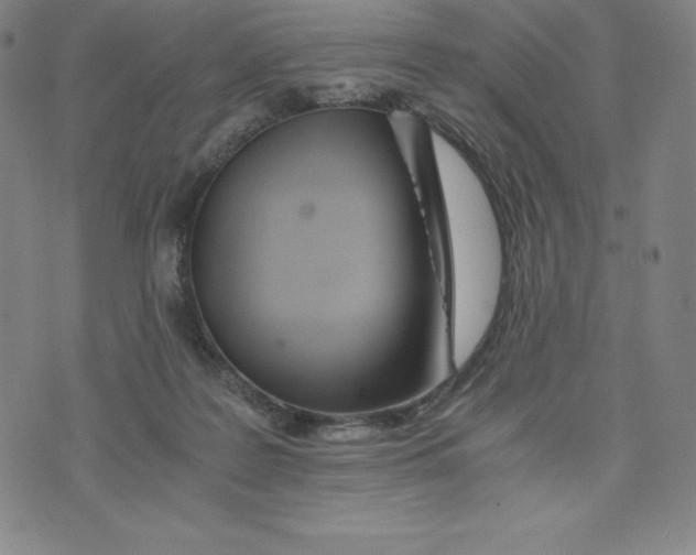 X0000074000219200609111606