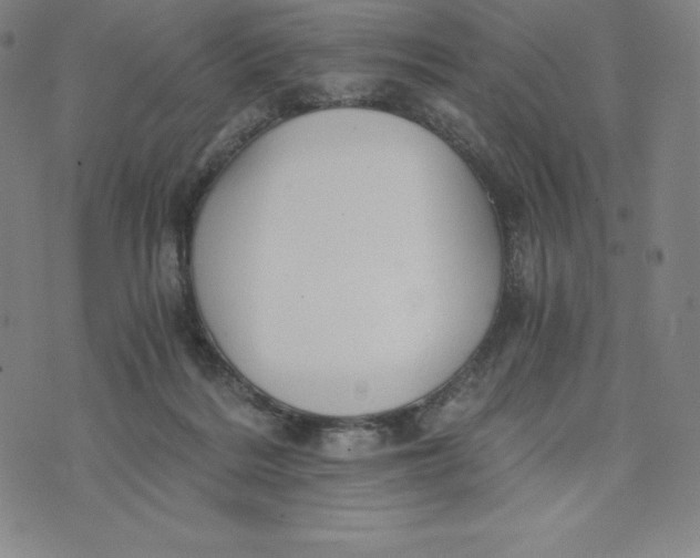 X0000074000220200609111606