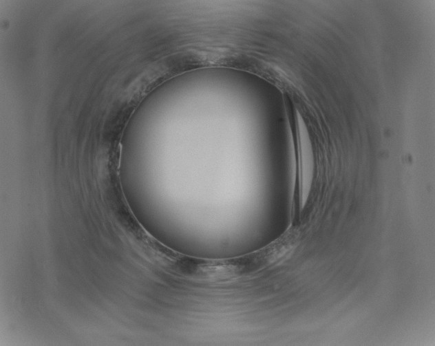 X0000074000221200609111606