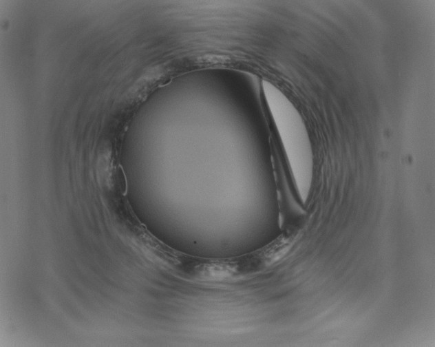 X0000074000223200609111606