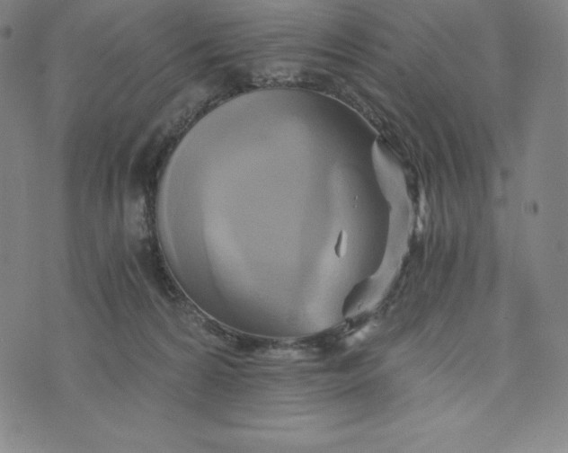 X0000074000224200609111606