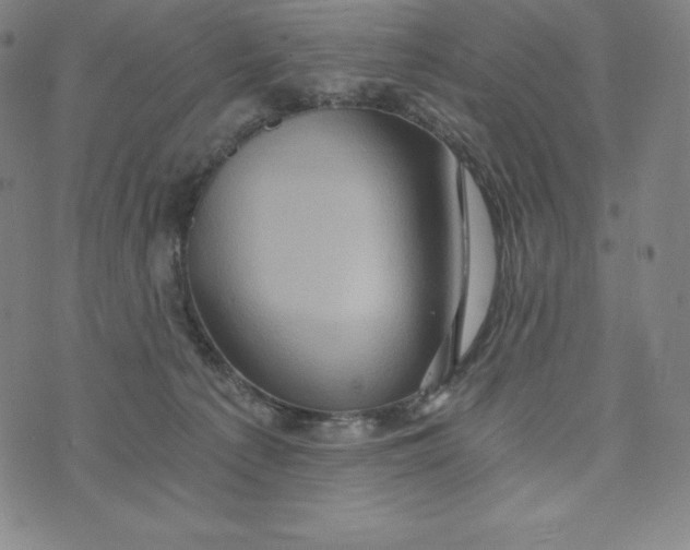 X0000074000225200609111606