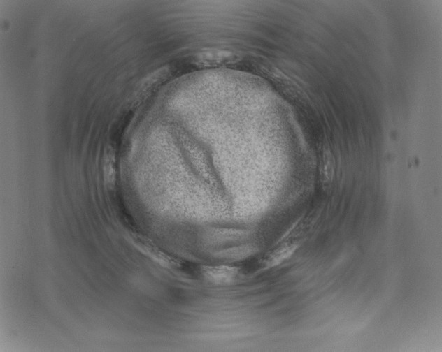 X0000074000226200609111606