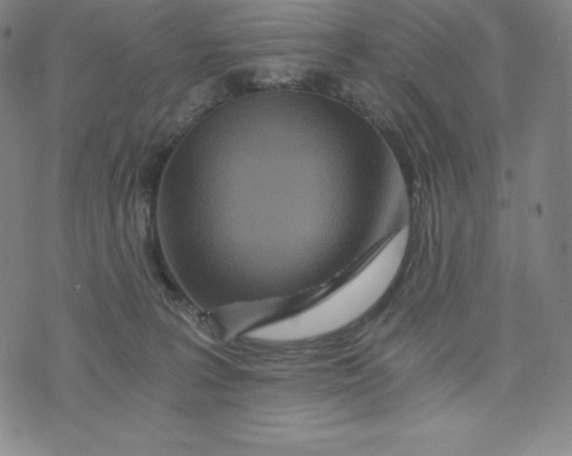 X0000074000227200609111606