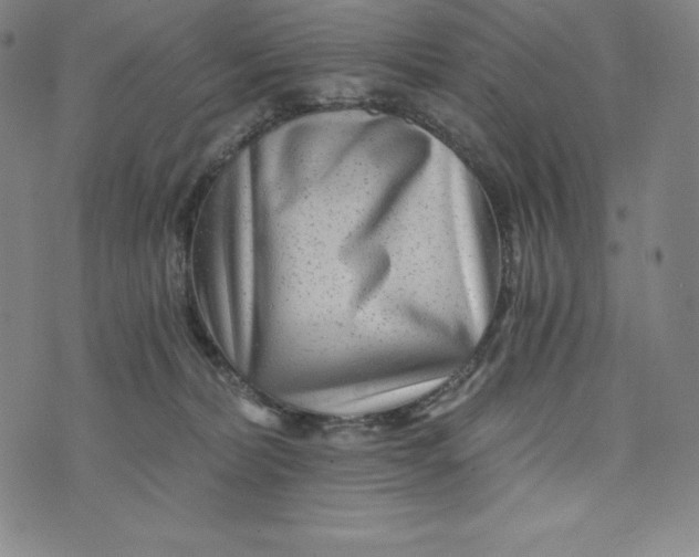 X0000074000228200609111606