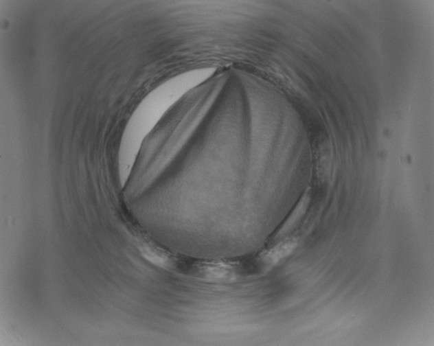 X0000074000229200609111606