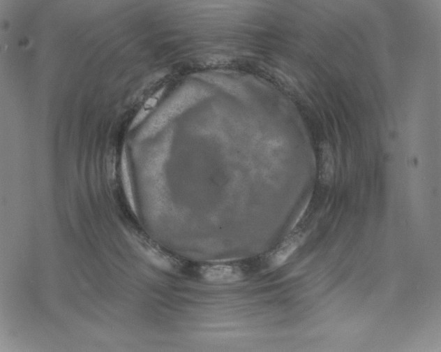 X0000074000230200609111606