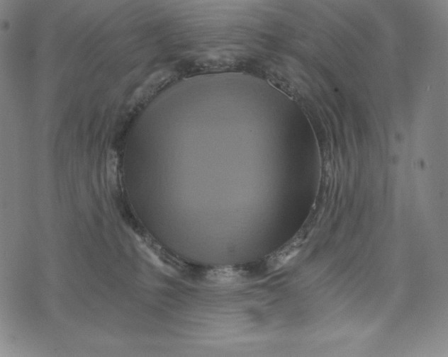 X0000074000231200609111606