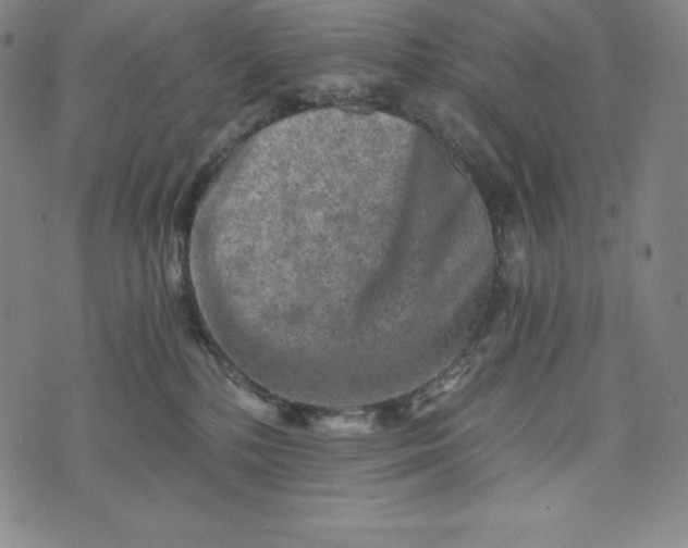 X0000074000232200609111606