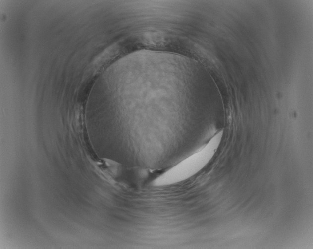 X0000074000233200609111606