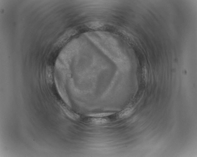 X0000074000234200609111606