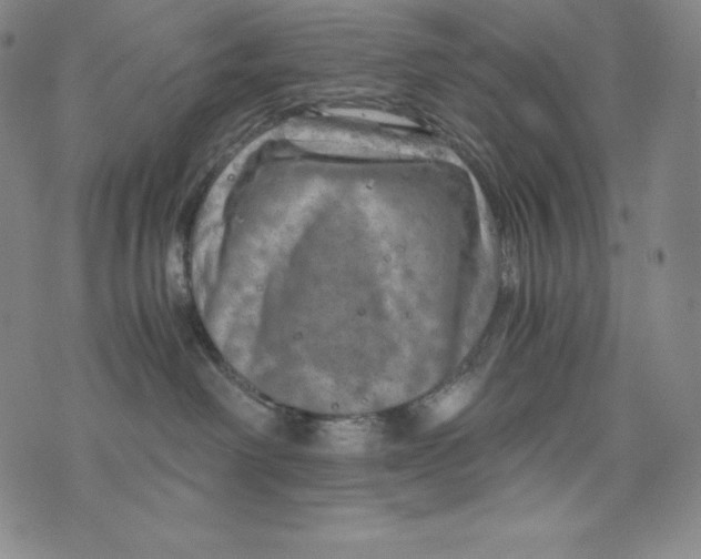 X0000074000238200609111606