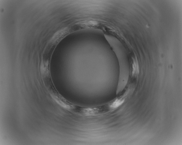 X0000074000239200609111606