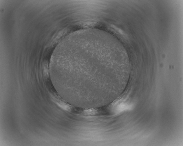 X0000074000240200609111606