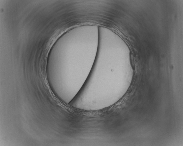 X0000074000241200609111605