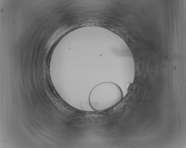 X0000074000242200609111605