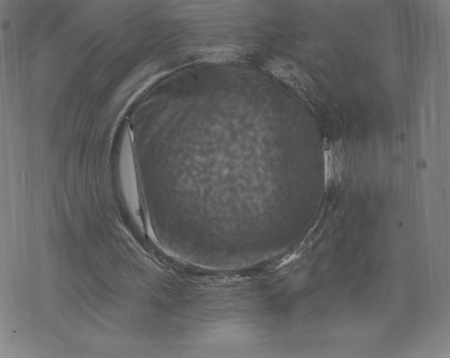 X0000074000243200609111605