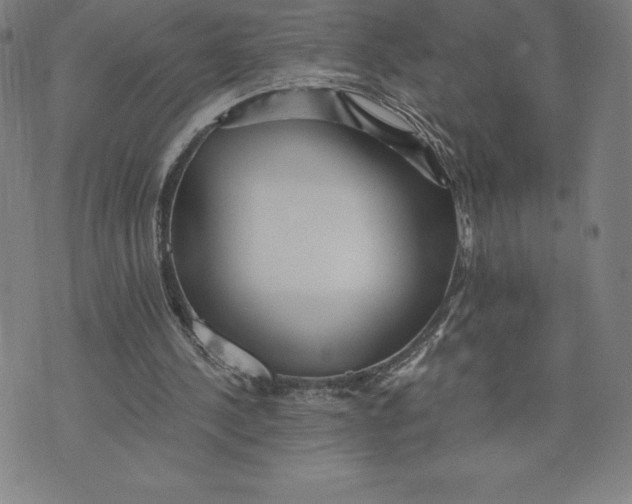 X0000074000244200609111605