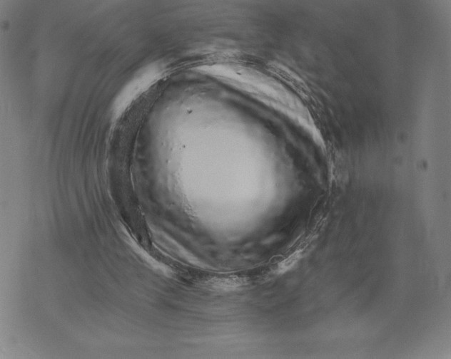 X0000074000245200609111605