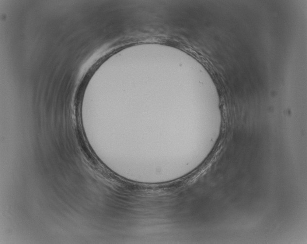 X0000074000246200609111605