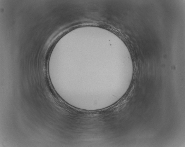 X0000074000247200609111605