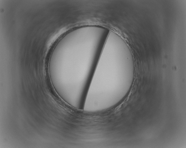 X0000074000248200609111605