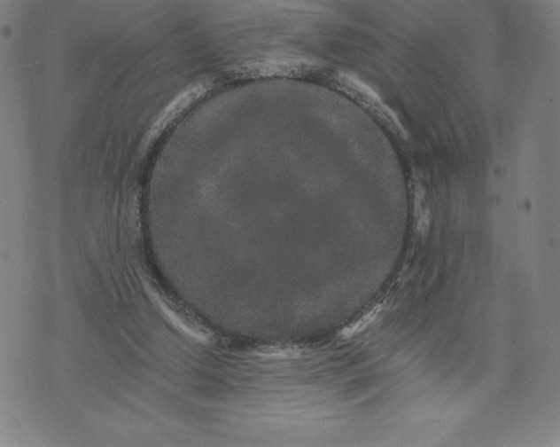 X0000074000250200609111605