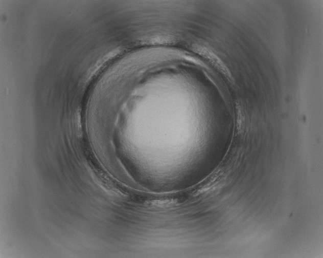 X0000074000251200609111605