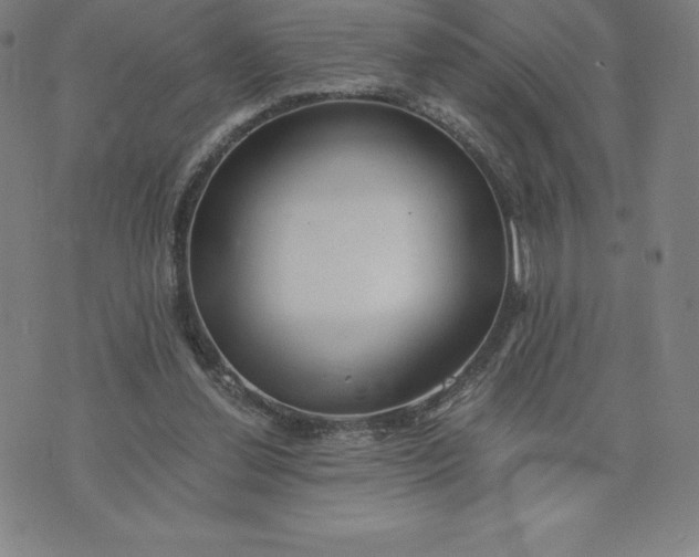 X0000074000252200609111605