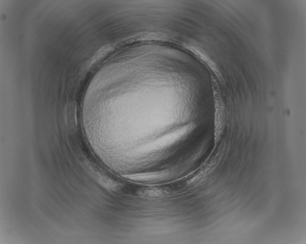 X0000074000253200609111605