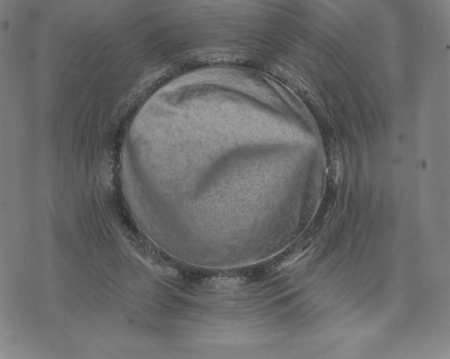 X0000074000255200609111605