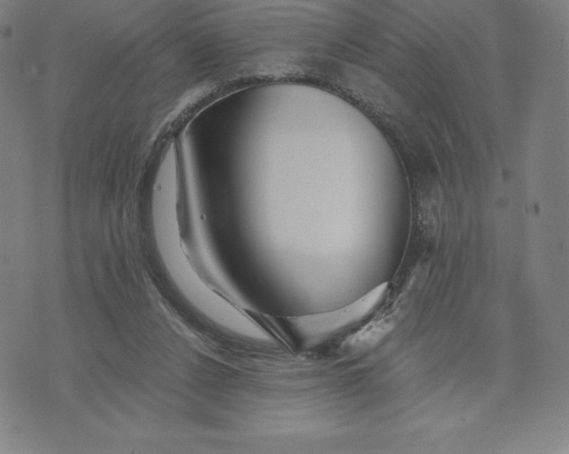 X0000074000256200609111605