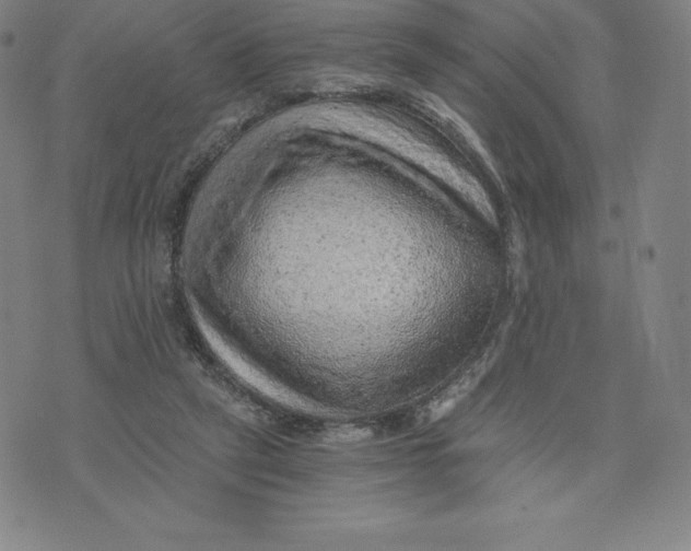 X0000074000257200609111605