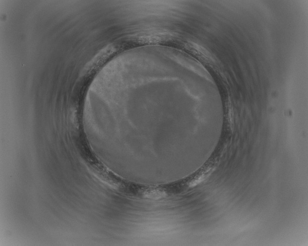 X0000074000258200609111605