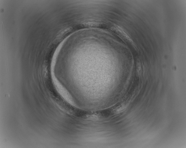 X0000074000259200609111605