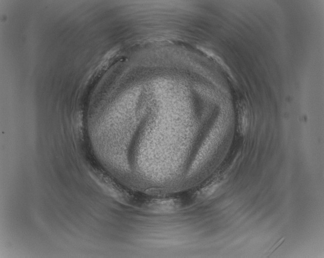 X0000074000260200609111605