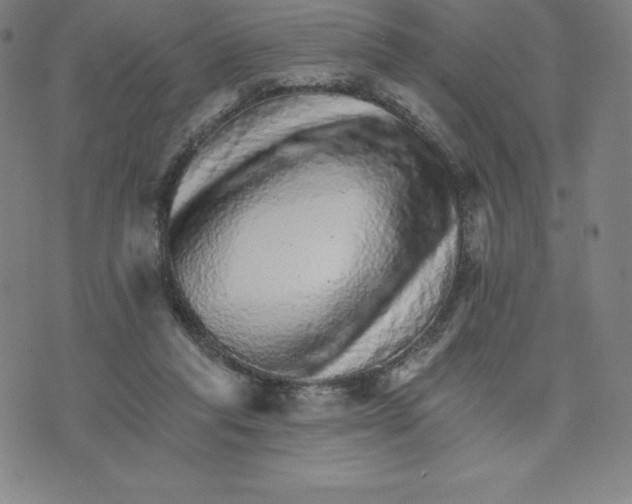 X0000074000261200609111606