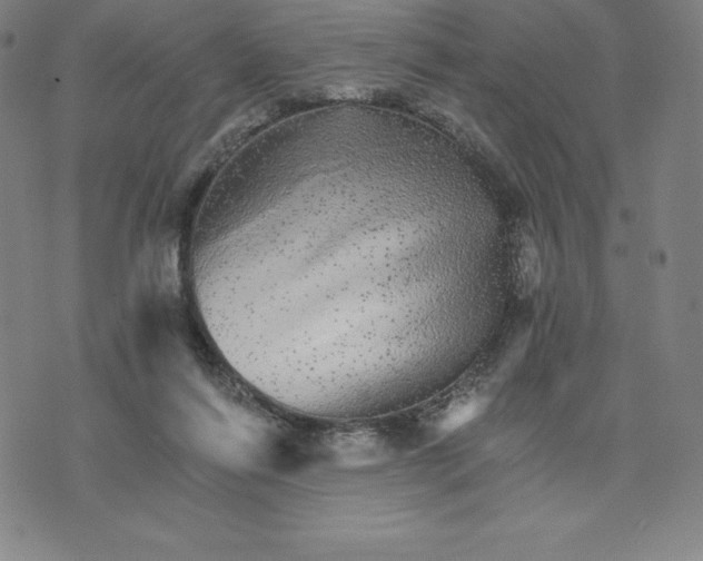 X0000074000262200609111606