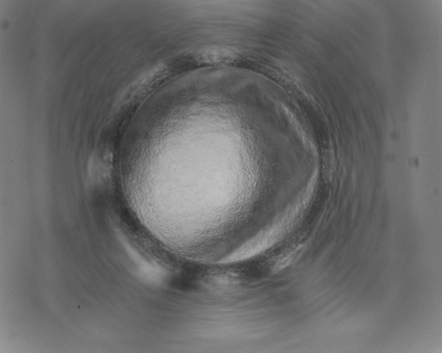 X0000074000263200609111606