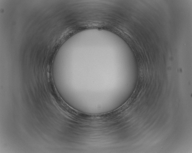 X0000074000264200609111606